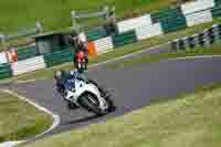 Lower Group White Bikes
